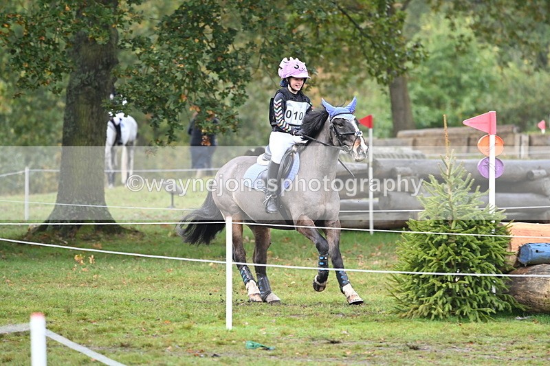 WJ6_1739 - 80cm Cam 1 Time 10:08 to 10:45