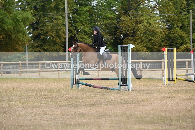WJ6_0172 - Class 13 Novice Jumping 60cm