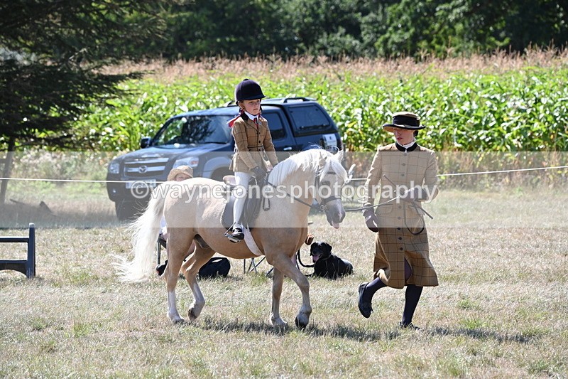 WJ6_8041 - Class 36 Lead Rein