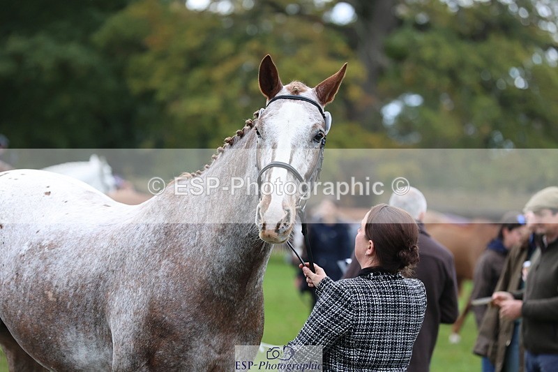 251026A-113229-25508 - F-426-Tracey.Neville