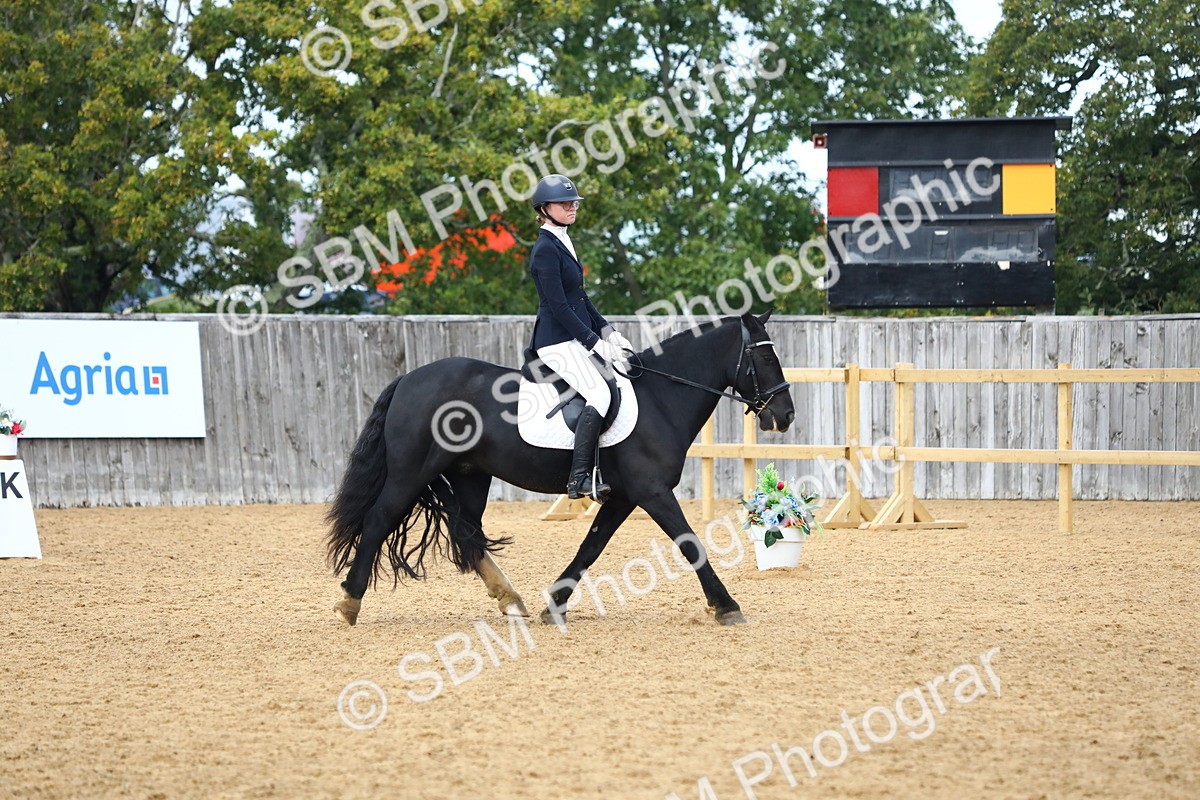 SBM_42702 - D21 - Junior Championship Intro 1