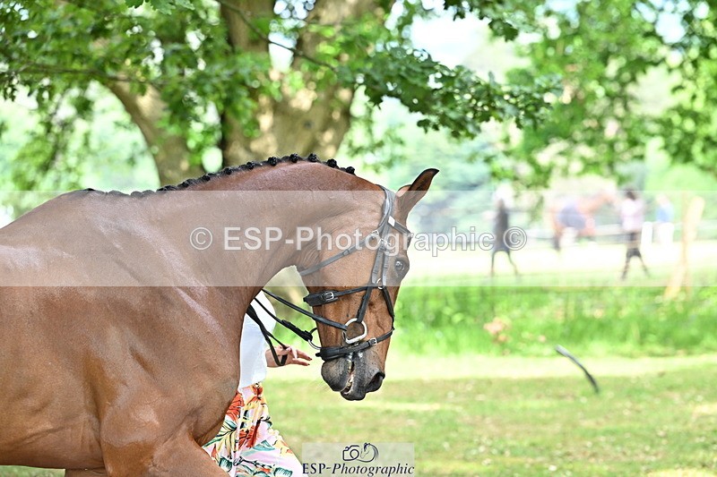 250521A-151828-00412 - B-362-Kat.Raybould-THE.ELLFIELD.DIKSTER