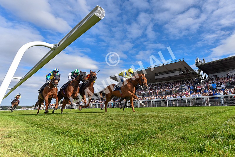 140824-Race 6-Glistening Nights-3495 - Race 6