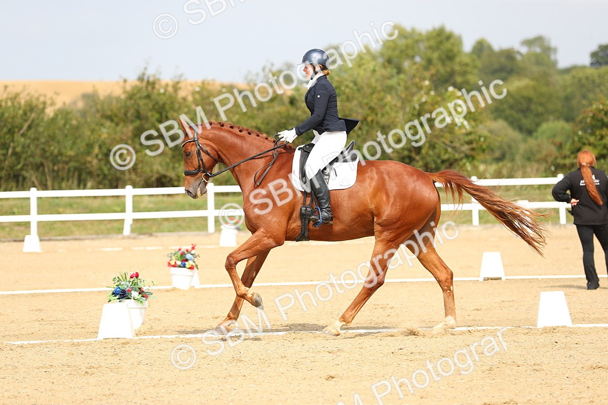 SBM_017288 - Class 13 - Novice 23 - 13.31-14.13