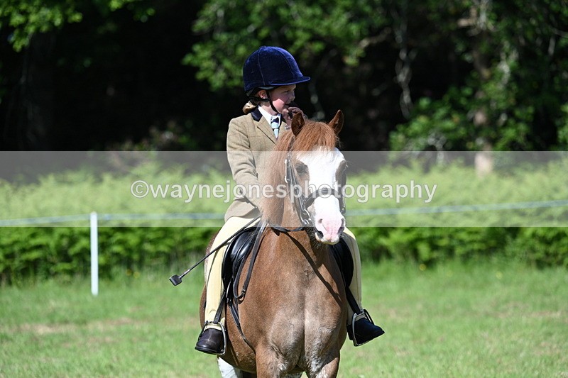 WJ7_0508 - Class 8 First Rally Pony