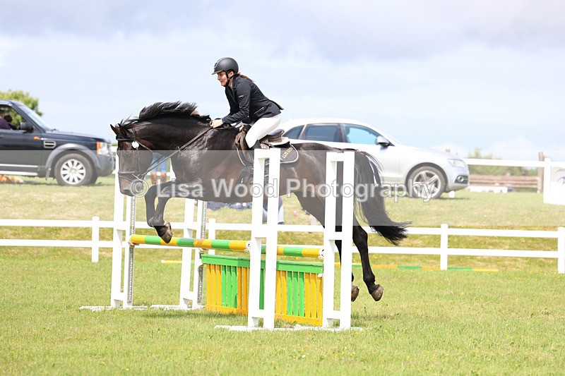 3E7A7473 - Class 13: Senior British Novice/90cm open