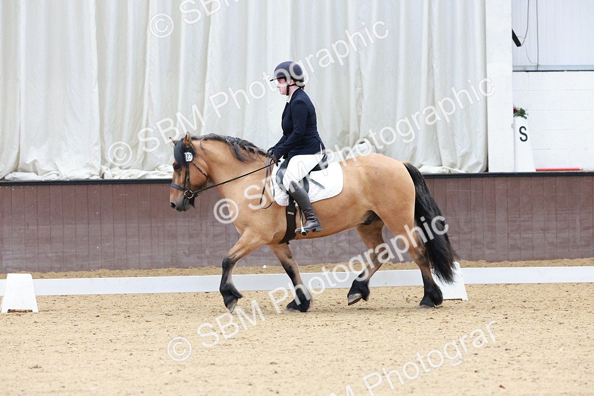 SBM_003198 - Intro 2