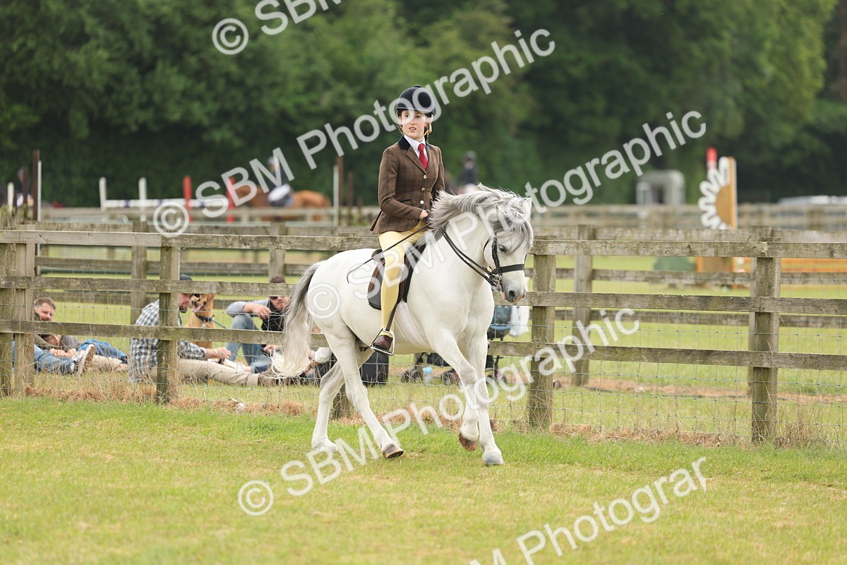 SBM_07100 - Class 76-77 - Ridden M&M Welsh Ponies