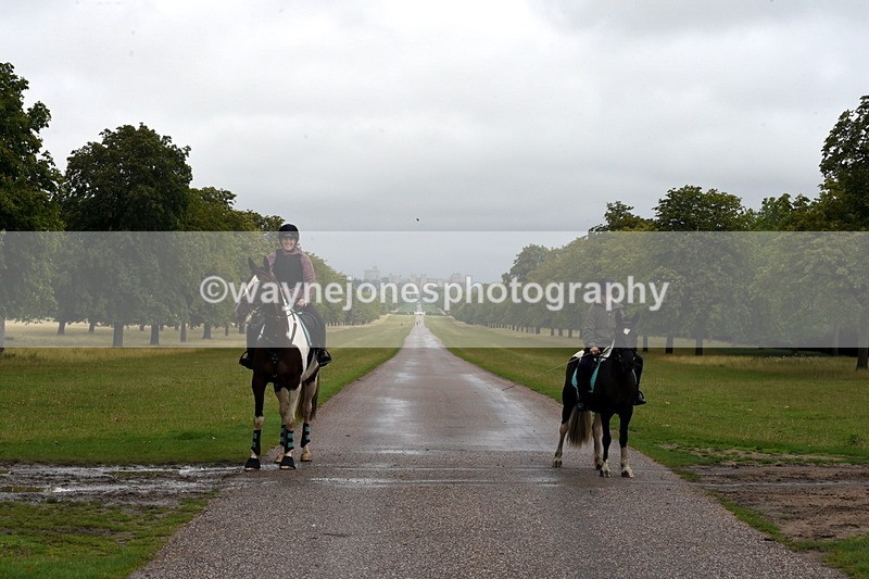 TT3_8270 - Time at Crossing 10:16 to 11:38