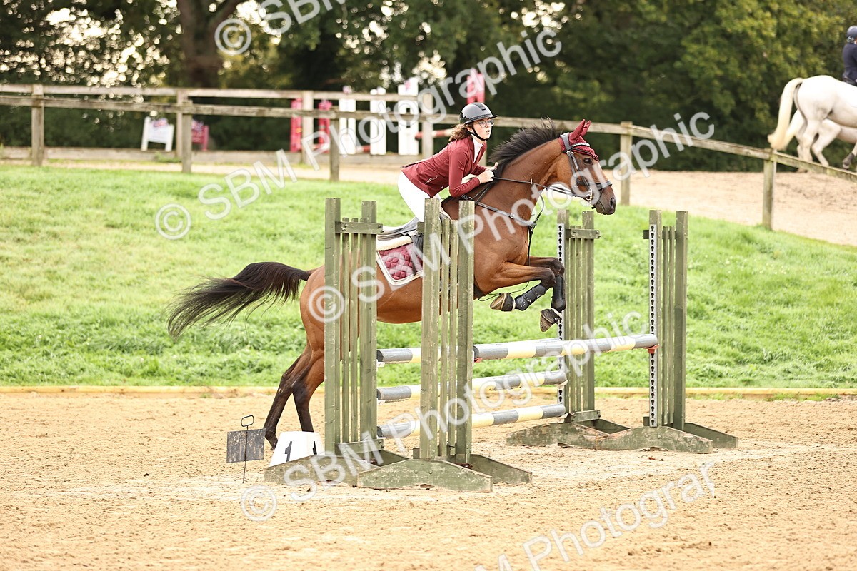 SBM_58330 - J41 - Grand Tour Horse & Pony 95cm