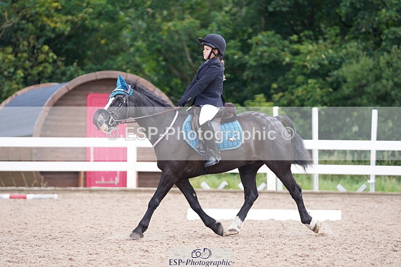 240809A-101942-00487 - Dressage Competition