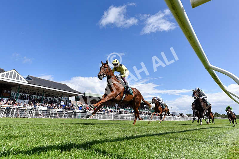 050825-Race 1-Reverberate-8346 - Race 1