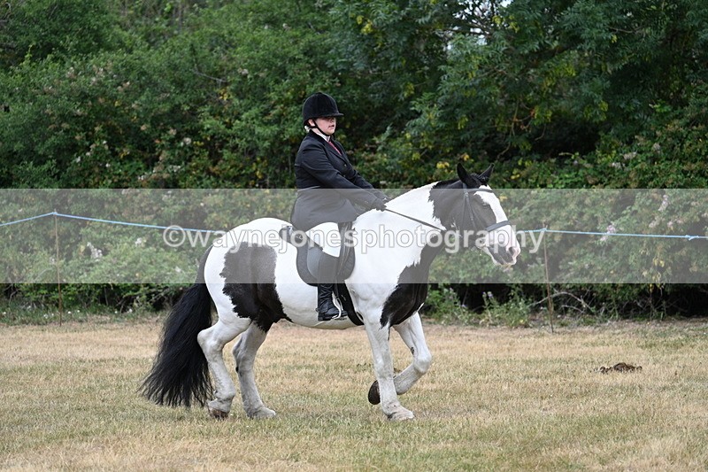 WJ7_1198 - Class 3 Family Mount