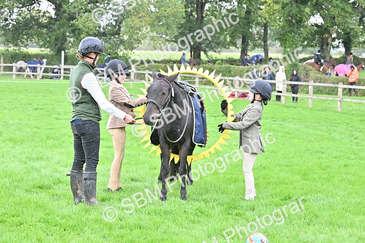 SBM_43000 - S12 - Family Horse & Pony