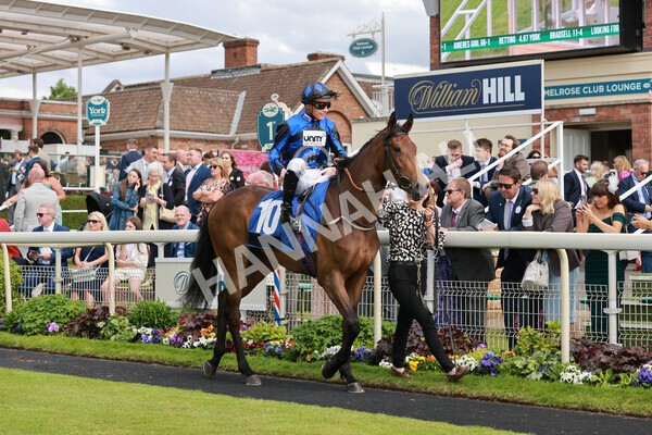 yr21052022r5-10 - Race 5: 4:07pm Phoebe Johnson Celebration EBF Restricted Novice Stakes