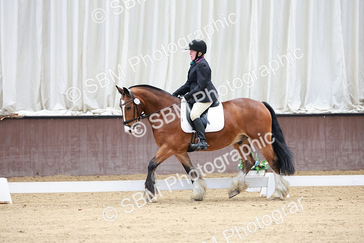 SBM_008090 - Class 6b - Novice 6 - 9.28-10.41