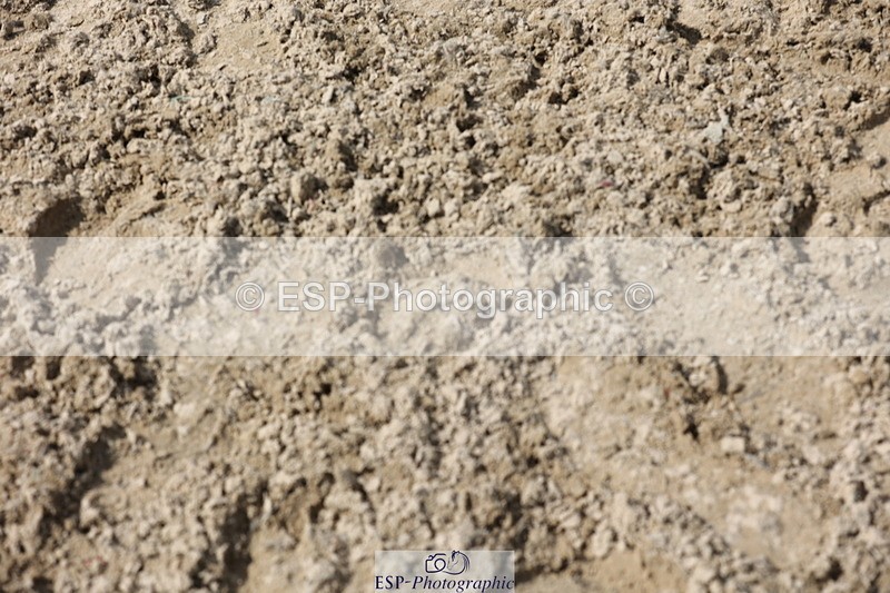 250809A-155536-04692 - Elementary SILVER Presentations