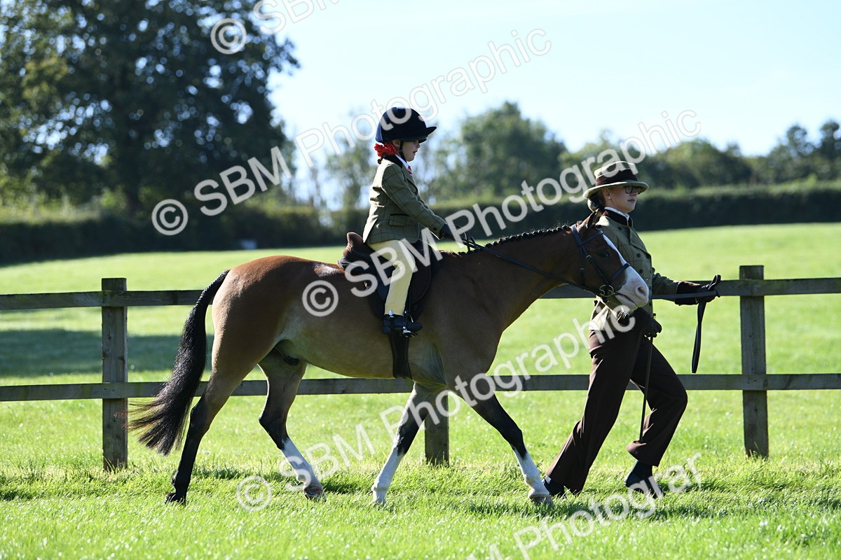 SBM_36752 - S18 - Novice & Newcomers Lead Rein Pony