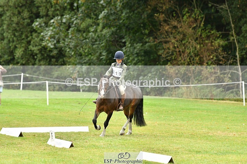 250820A-111356-04949 - 11am to 12