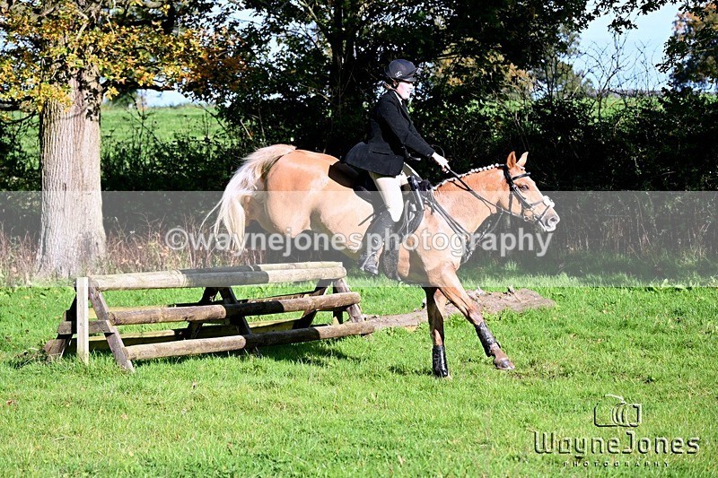 WJ6_4772 - Edited examples