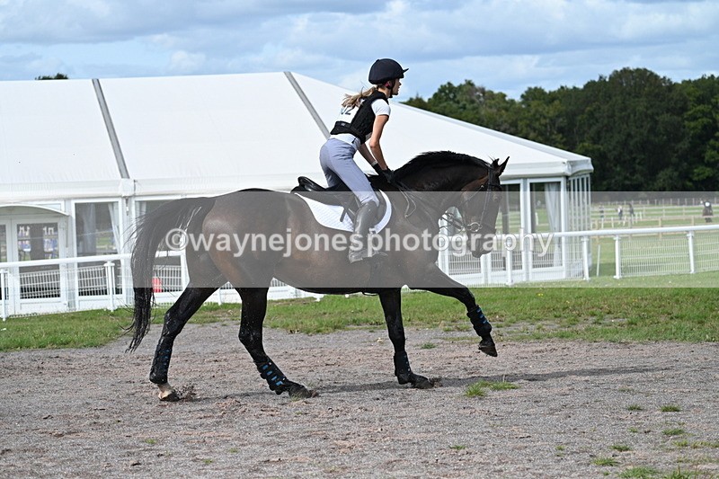 WJ7_1701 - Time 12:34 to 13:16