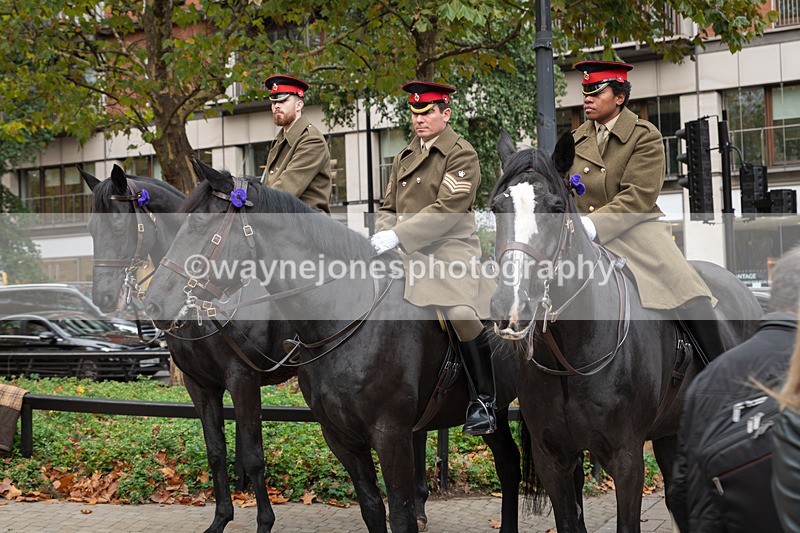 Z62_4546 - Animals In War Memorial 2025 - Park Lane, London