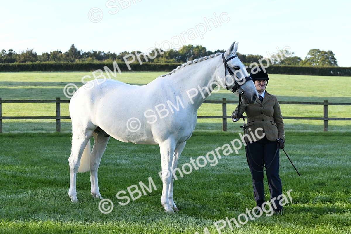 SBM_32742 - S15 - Condition & Turnout In Hand