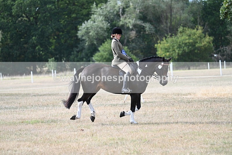 WJ7_7663 - Ridden Championship