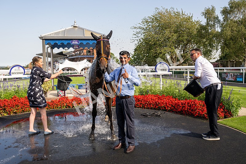 130826-Race 5-Wardlaw-8601 - Race 5 16.15pm Middle Distance Handicap