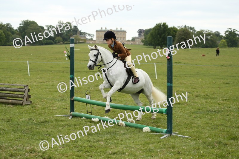 20250517-1093 - Class 21 - Novice Working Hunter