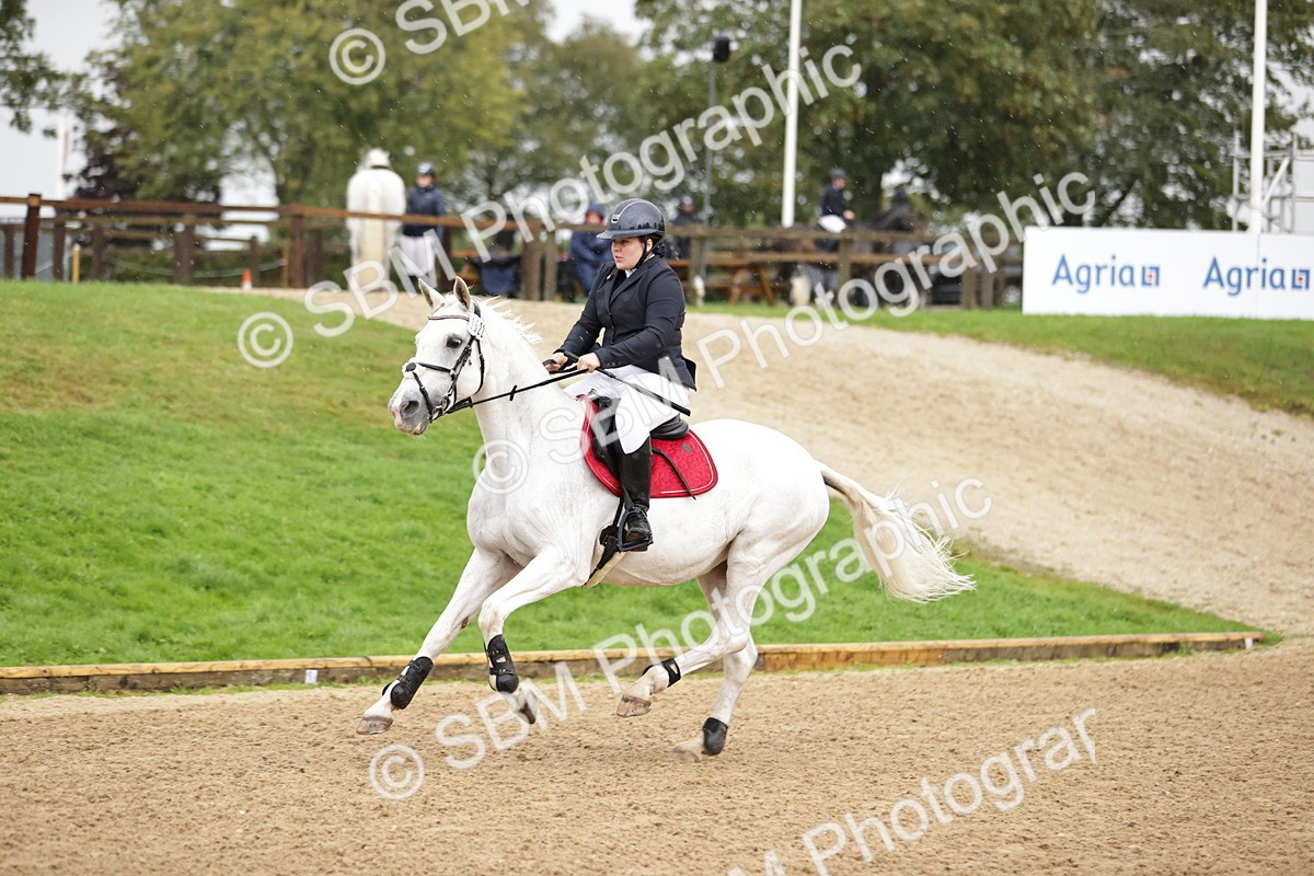SBM_33204 - J38 - Senior Horse & Pony 80cm Championship