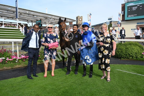 yr08072022r7-41 - Race 7 5.30pm Jigsaw Sports Branding Handicap