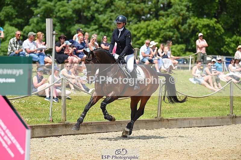 230528-125218-15879 - 357-VIVENDI_HERO-Saffron_Cresswell-SUNTrotUp+SJ