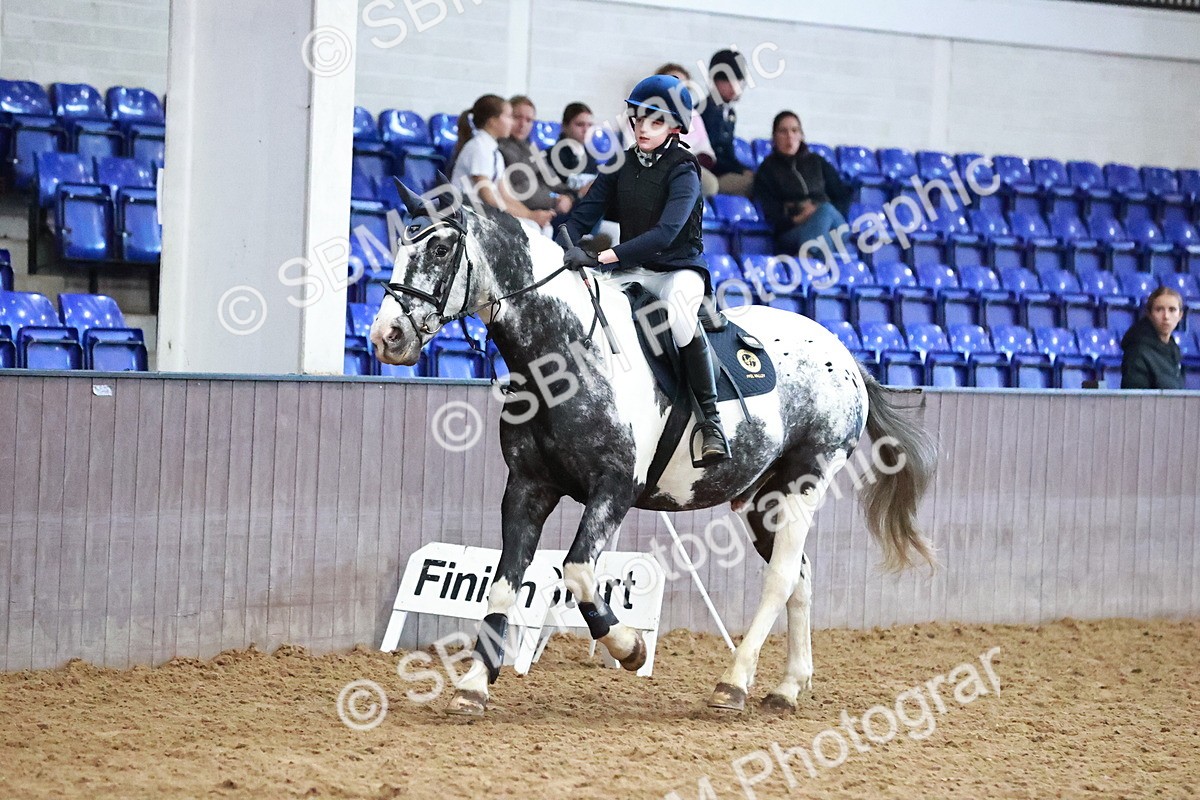 SBM_001651 - Class 4 - Show Jumping 70cm