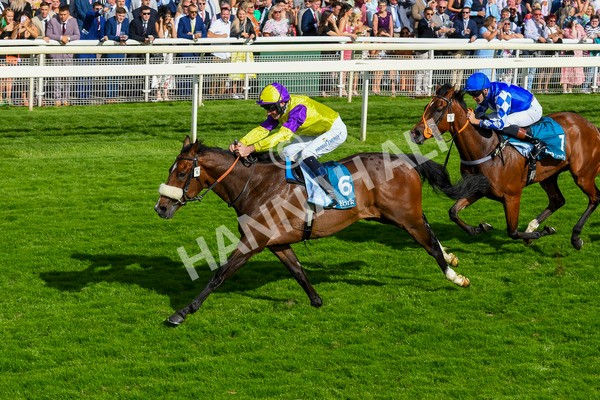 290723-Race 6-Dark Moon Rising-0956 - Race 6 5.10pm Betting Better With Sky Bet Handicap