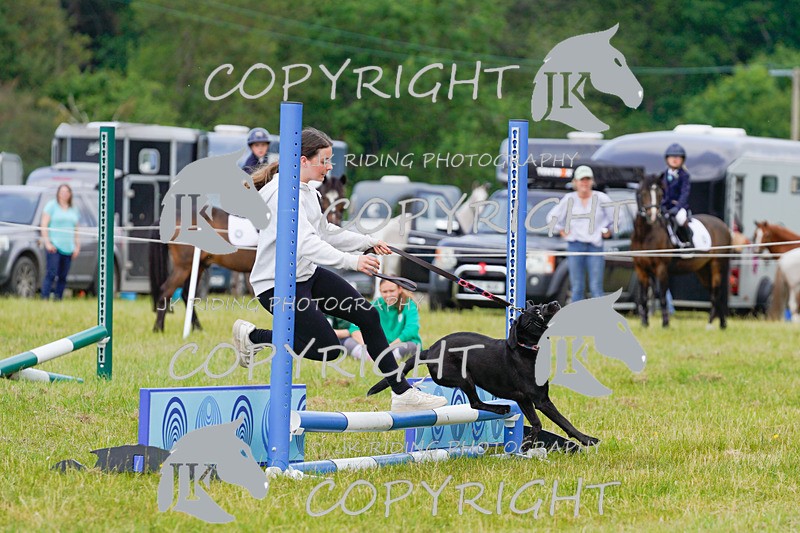 _DSC4861 - CLASS 7 HORSE & HOUND RING 2
