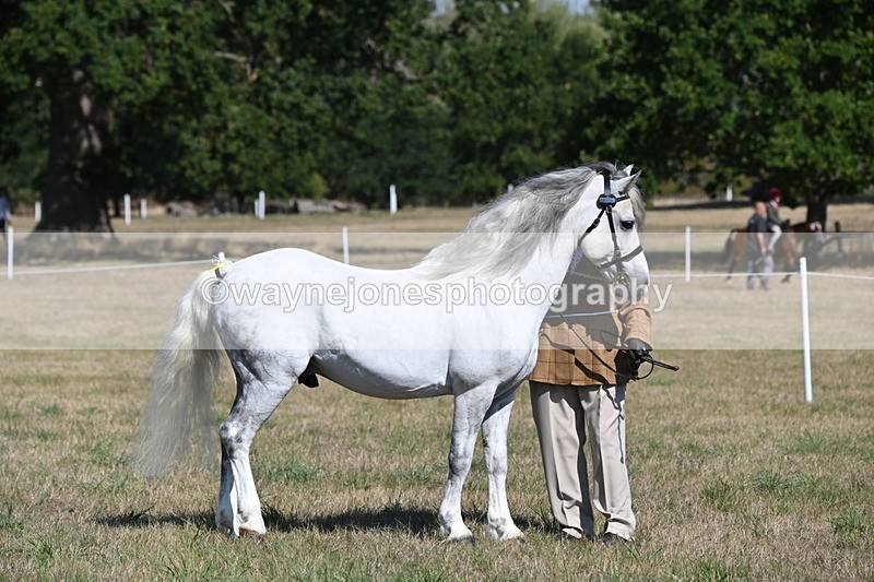 WJ6_4317 - Class 16 Condition & Turn Out