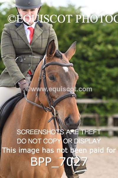 BPP_7027 - RING 1  (RIDDEN HORSES / IN HAND / VETERAN ETC)