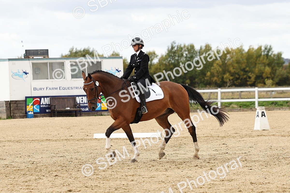 SBM_004526 - Class 69 - Novice 2