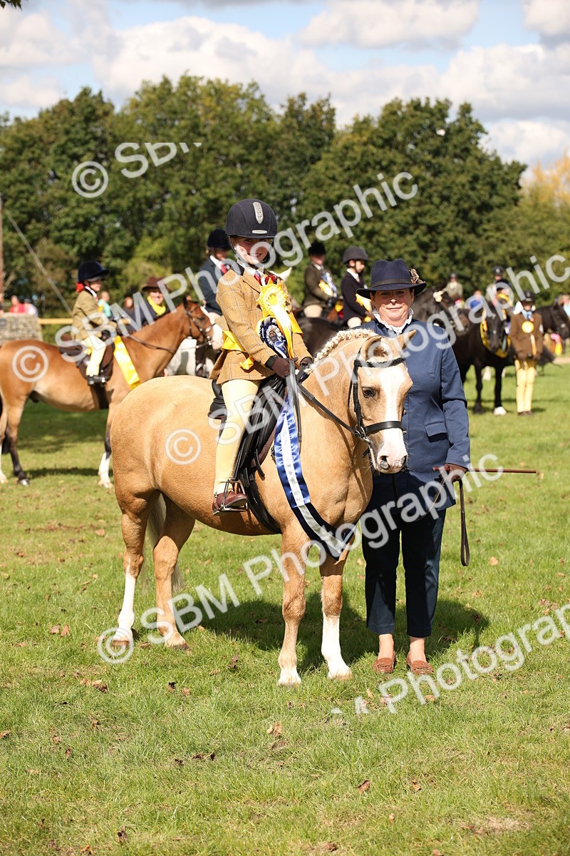 SBM_40931 - Fun Showing Supreme Championship