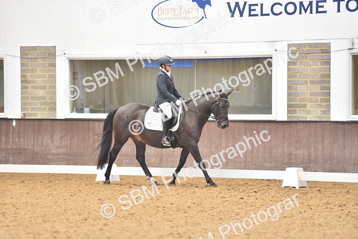 SBM_009588 - Class 11 - Elementary 5