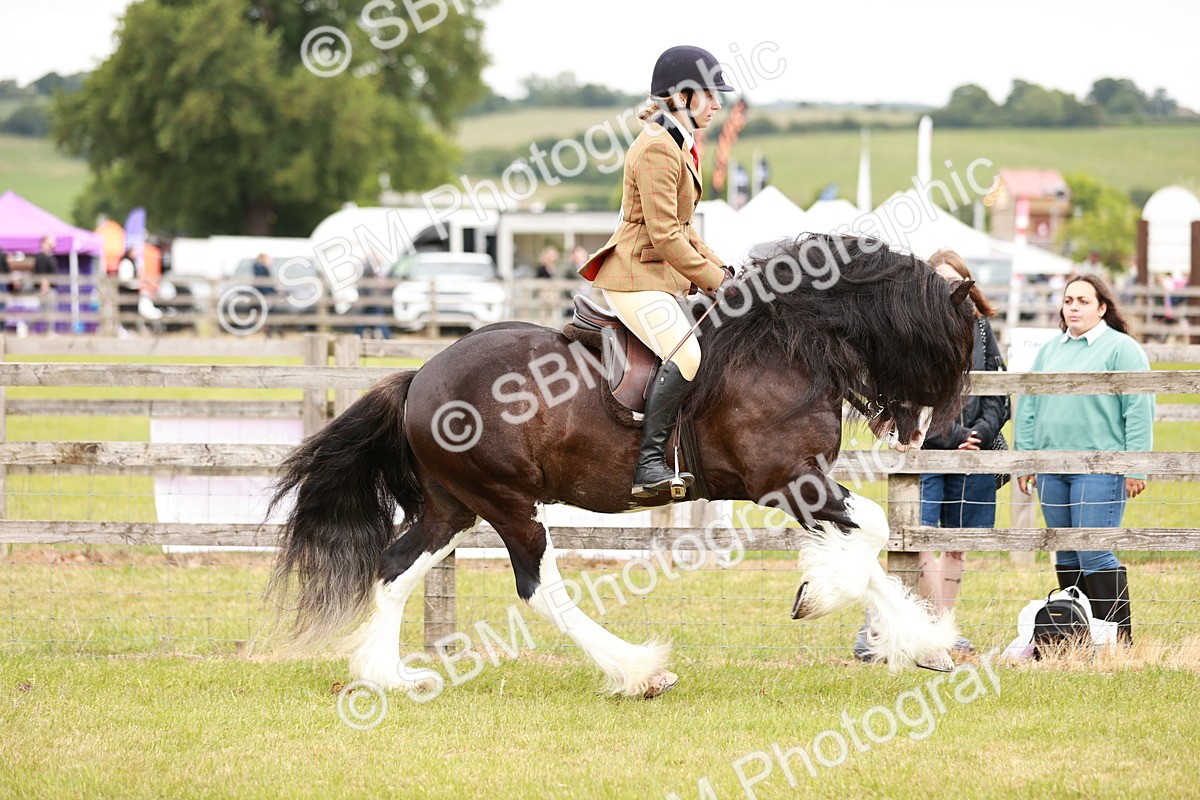 SBM_06127 - Class 39-41 TGCA In Hand and Ridden