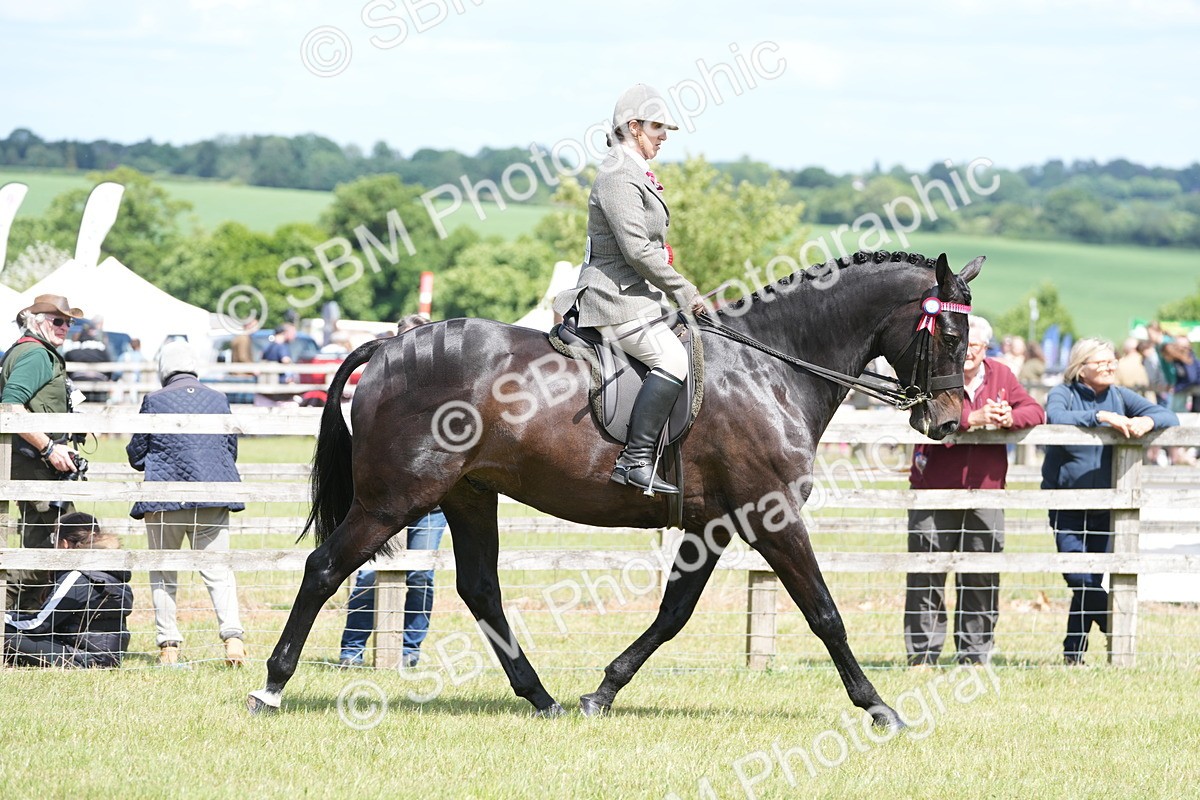 SBM_16285 - Class 105-106 - RIHS Riding Horses