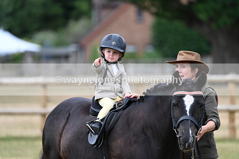 WJ7_9739 - Class 1 Lead Rein Pony