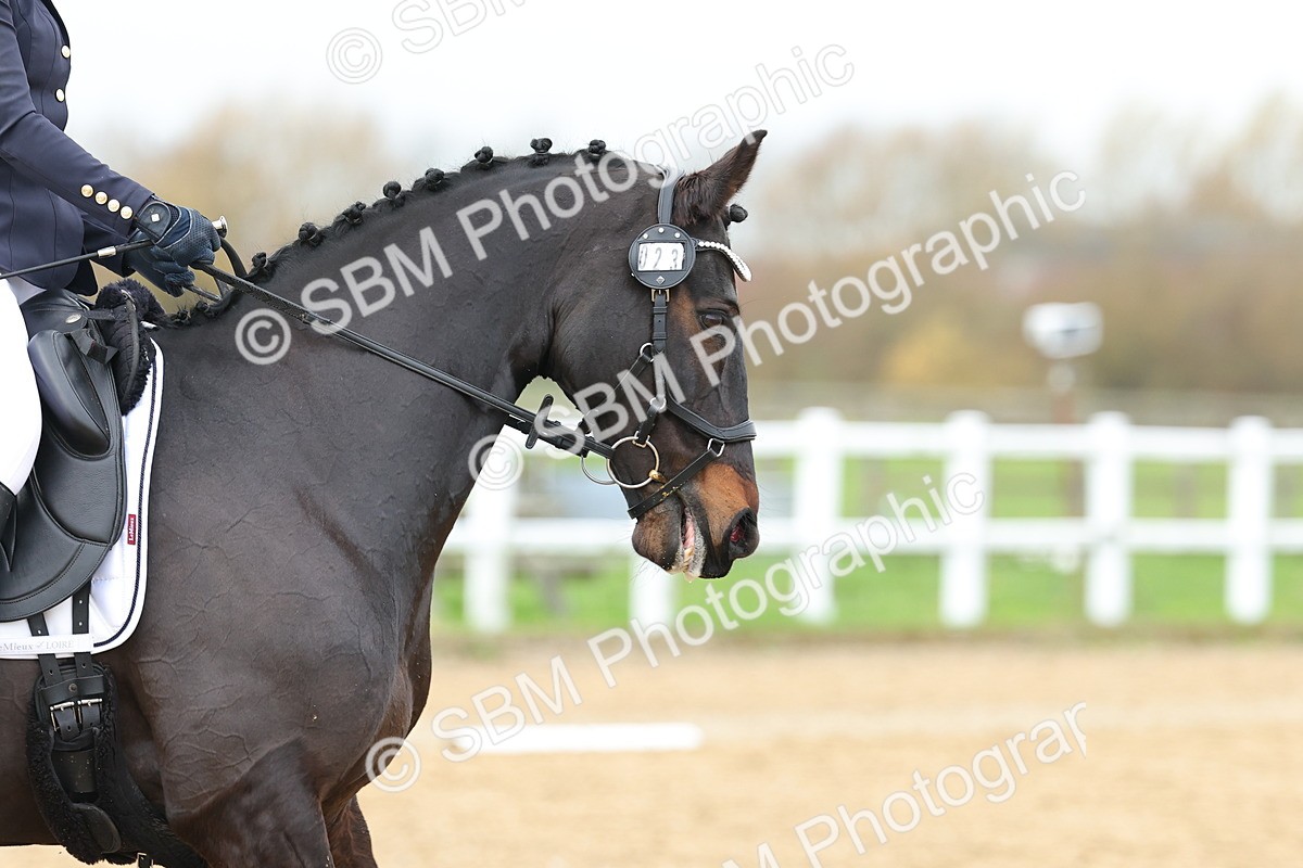 SBM_004055 - Class 9-8-11 - Elementary 1-Novice 4-Elementary 4
