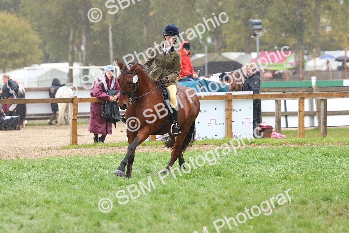SBM_73016 - S63 Show Pony & Show Hunter Pony Ridden
