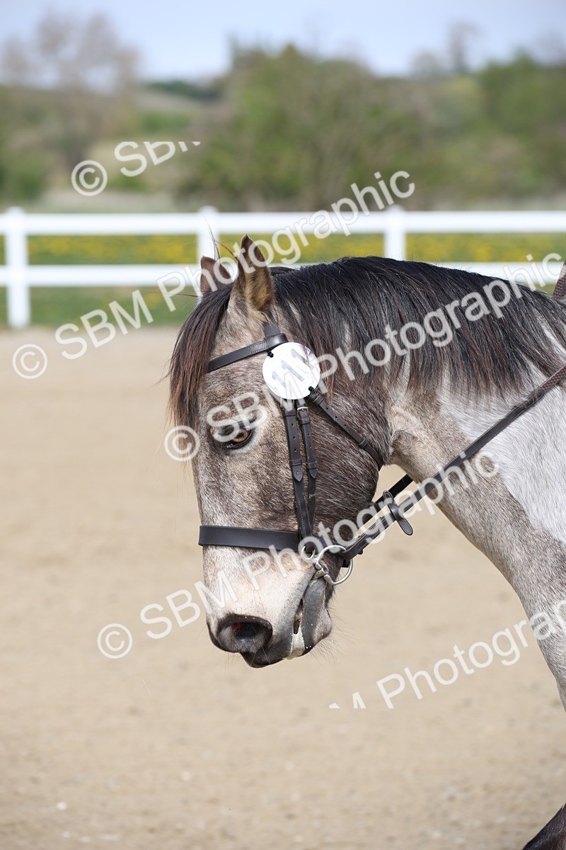 SBM_008119 - Class 4 - P2  12.41-14.36