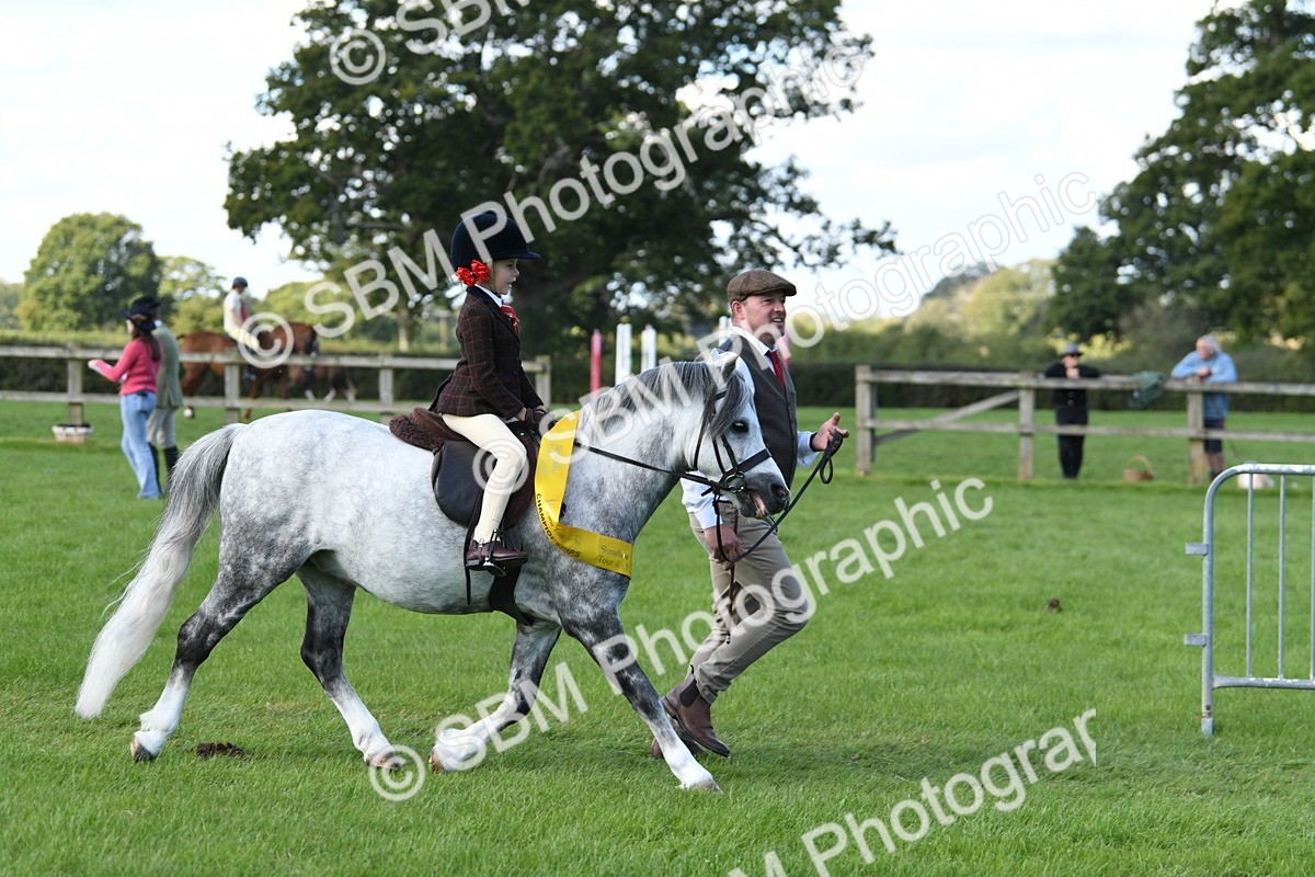 SBM_39704 - S18 - Novice & Newcomers Lead Rein Pony