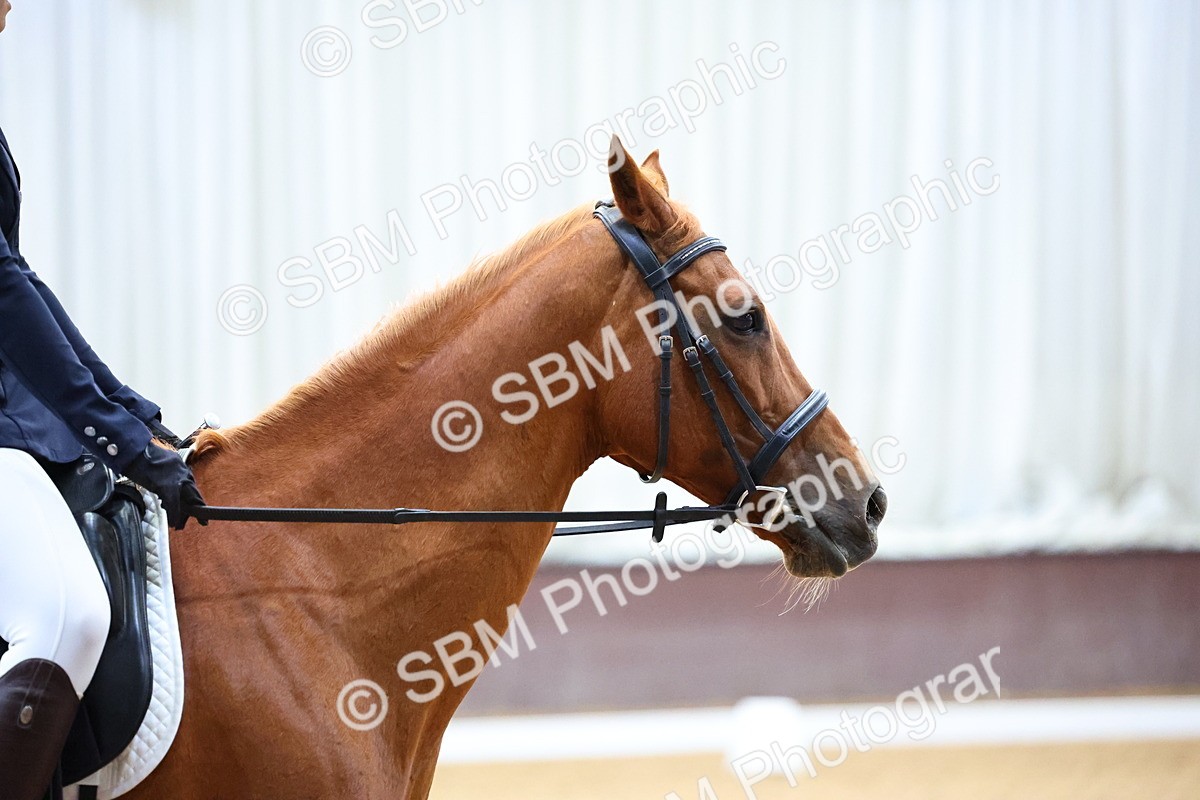 SBM_003513 - Prelim 2