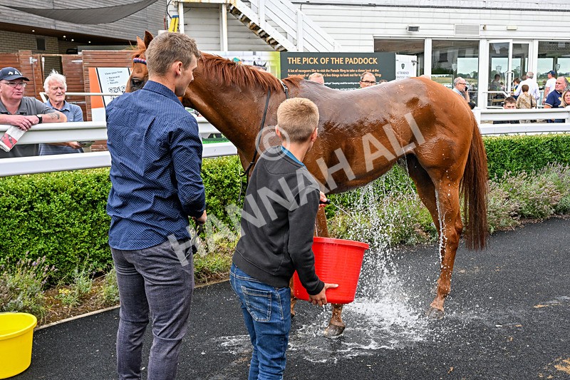170826-Race 5-Our Absent Friends-5562 - Race 5 16.15pm racingtv.com Handicap